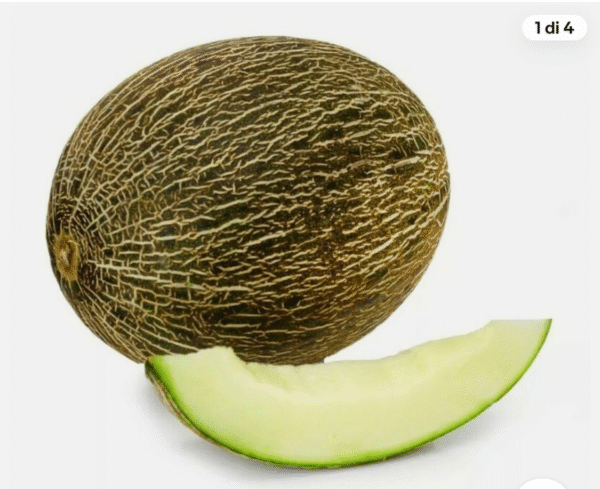 Melone Dolcissimo