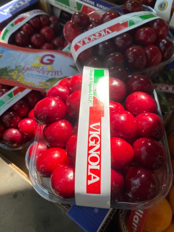 Duroni di Vignola
