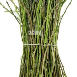 Asparagina Selvatica