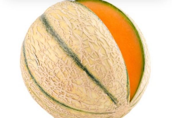 Melone Dolcissimo