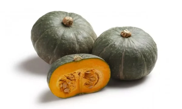 Zucca Mantovana Delica