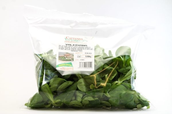 Soncino Pronto e Lavato in busta 100g
