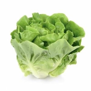 Lattuga