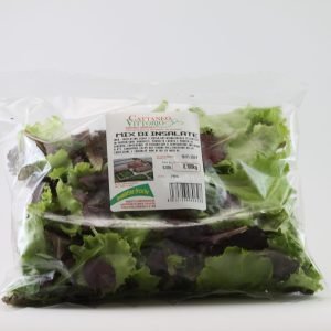 Insalatina Misticanza Pronta e Lavata in busta 100g
