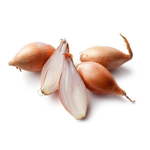 Scalogno