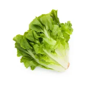 Insalatina Milano-Chioggia Pronta e Lavata in busta 100g