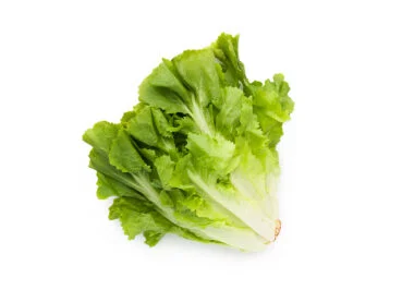 Insalatina Milano-Chioggia Pronta e Lavata in busta 100g