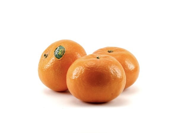 Mandarino Tardivo Giaculli