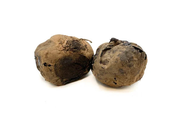 Barbabietola Cotta al Forno