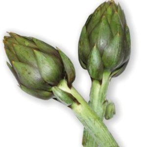 Carciofi con le Spine
