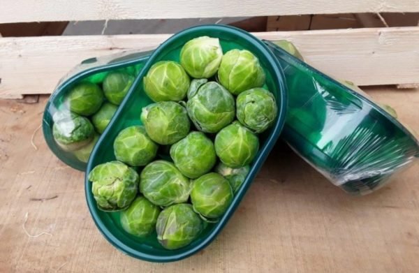 Cavolini di Bruxelles