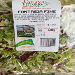 Insalata Fantasia Fine