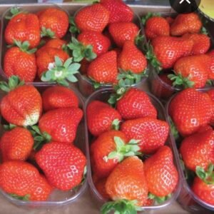 Fragole