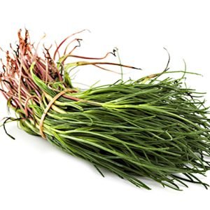 Barba dei frati o Agretti