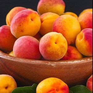 Albicocche Orange Ruby
