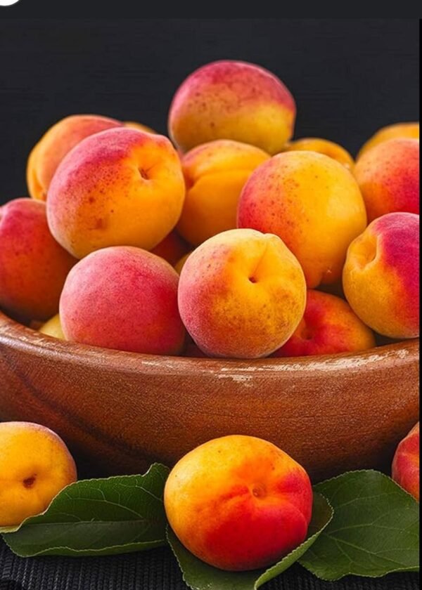 Albicocche Orange Ruby